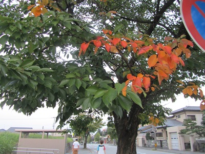 b0149071_17194712.jpg