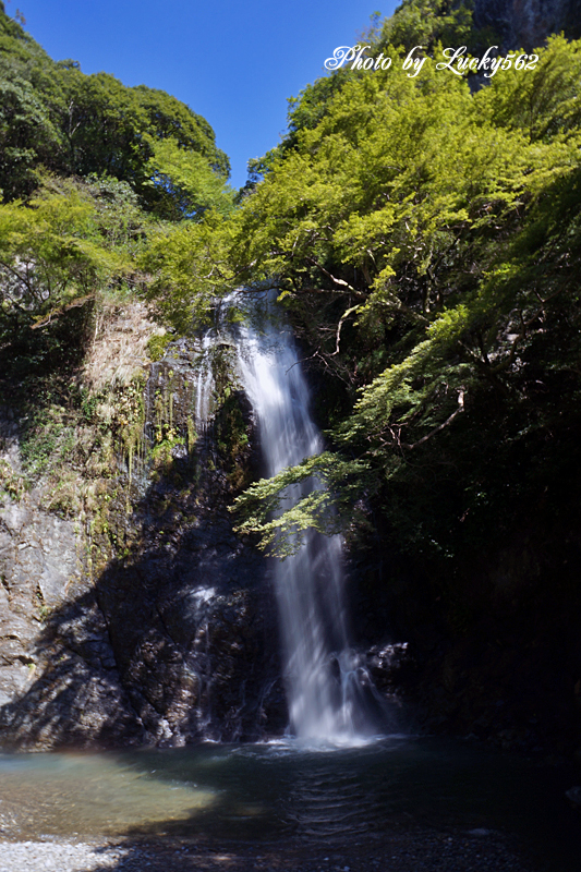 e0002371_17333914.jpg