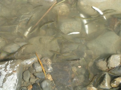 c0112172_0504852.jpg