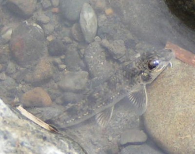 c0112172_0505852.jpg