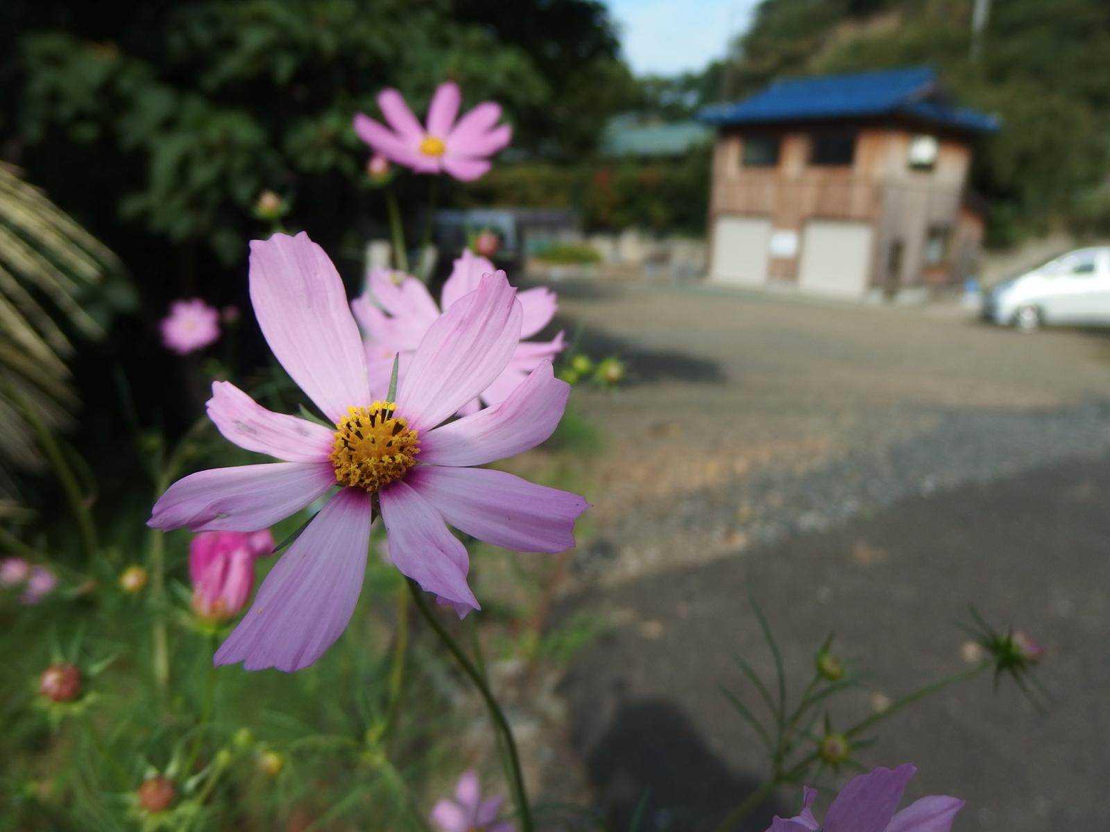 c0177576_355536.jpg