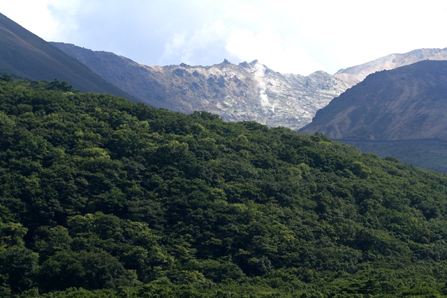 d0126577_22113716.jpg