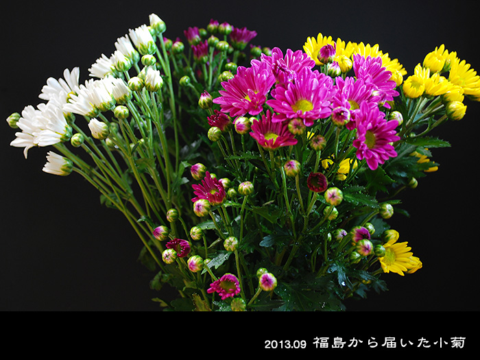 c0009981_14585136.jpg