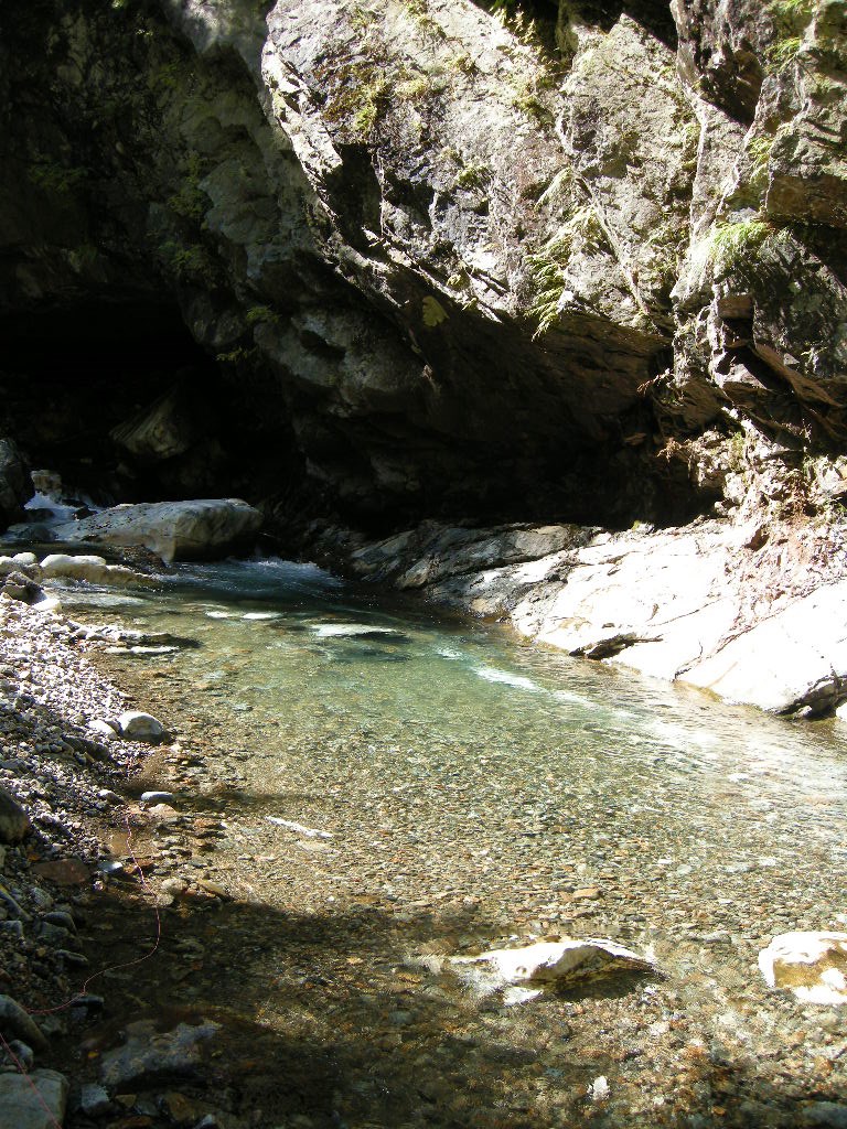 c0136486_10253564.jpg