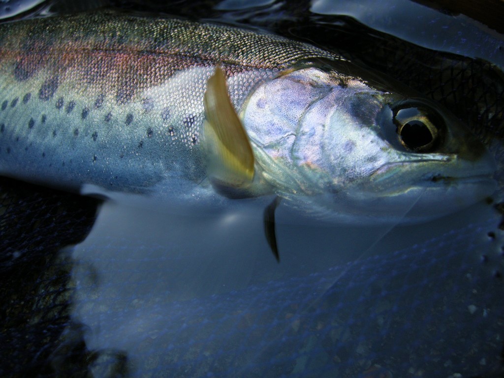 c0136486_10314127.jpg