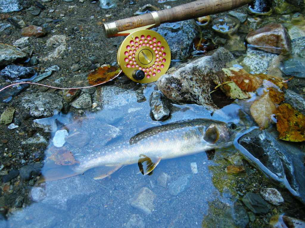 c0136486_10392940.jpg