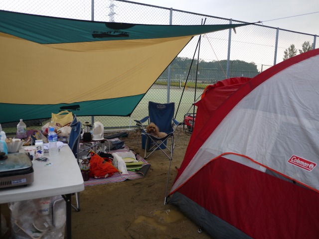 b0190092_2020425.jpg