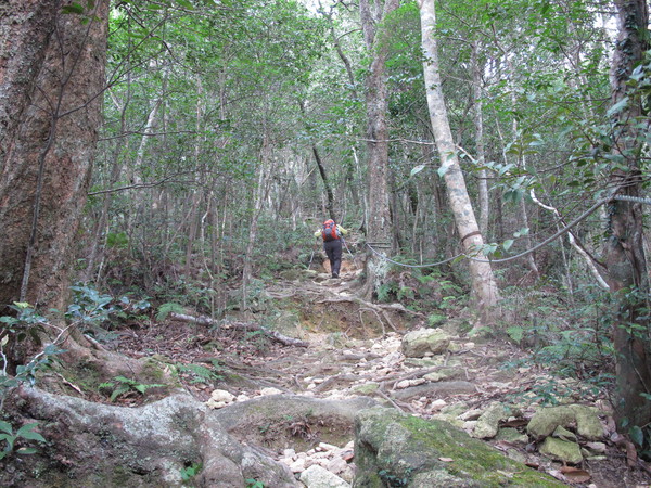 a0166196_1147023.jpg