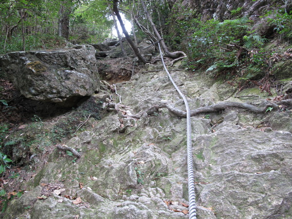 a0166196_11492372.jpg