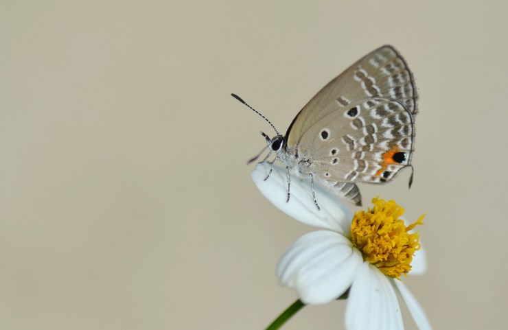 a0277496_8561644.jpg