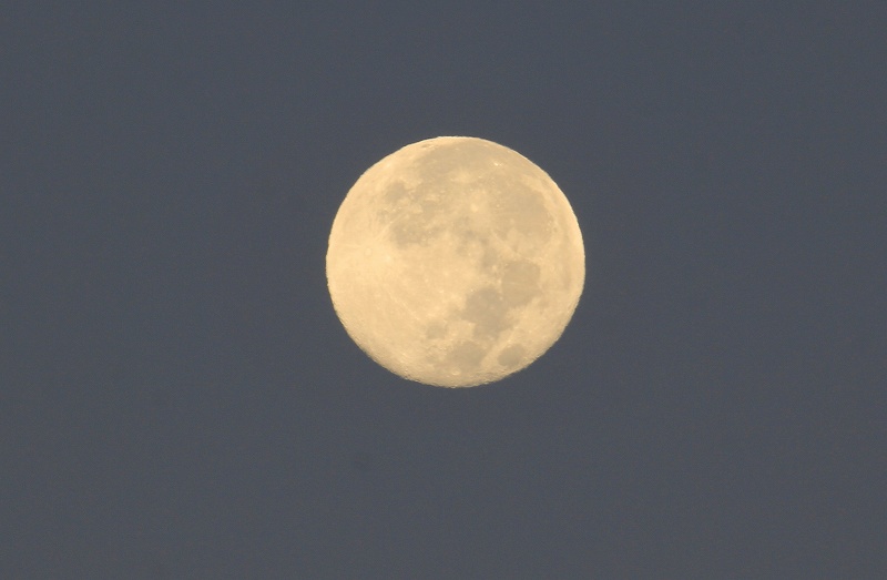 a0188405_1255099.jpg