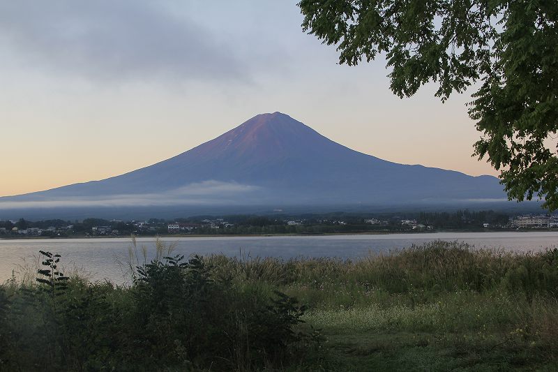 a0188405_1755249.jpg
