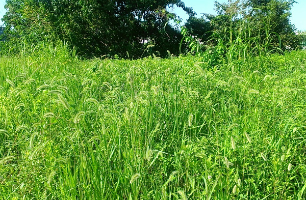 a0000006_0462047.jpg