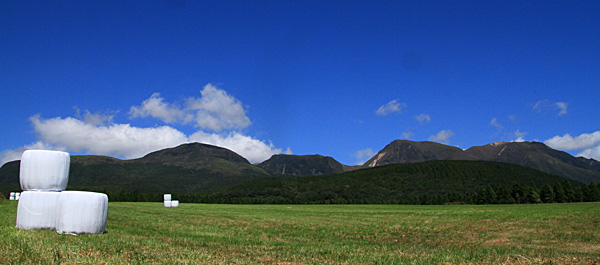 b0014607_15491489.jpg