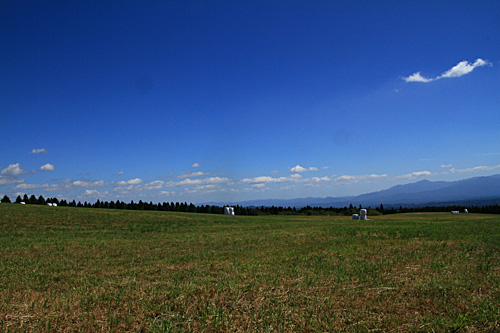 b0014607_15492722.jpg