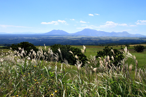 b0014607_15493644.jpg