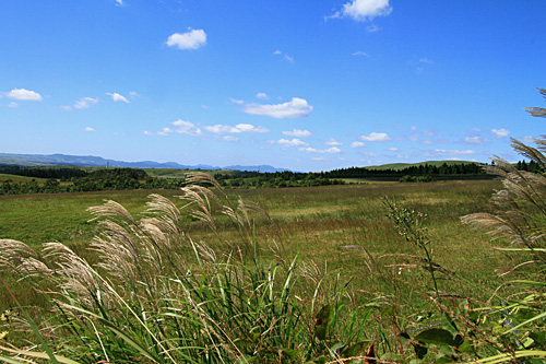 b0014607_15494436.jpg