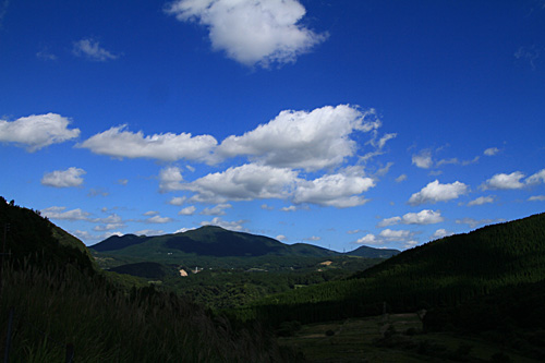 b0014607_15495271.jpg