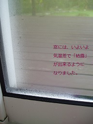 b0200310_22414632.jpg