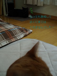 b0200310_22472881.jpg