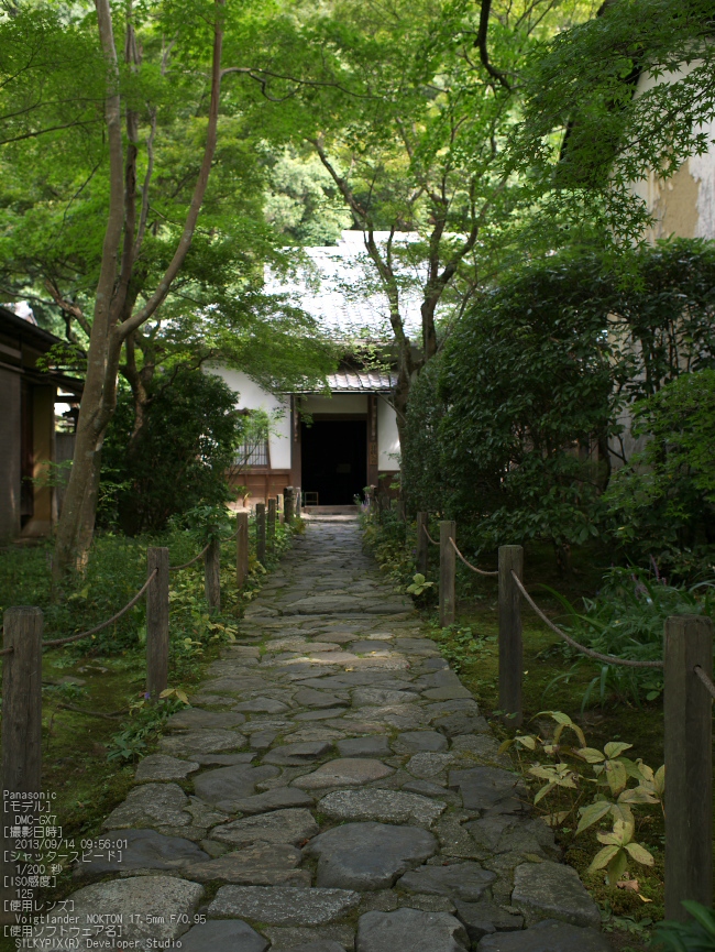 f0221510_7535221.jpg