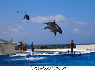 c0182012_15552364.jpg