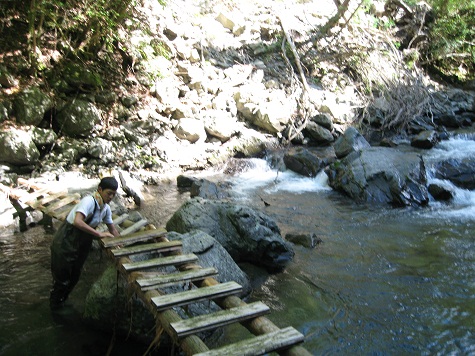 e0101917_15391546.jpg
