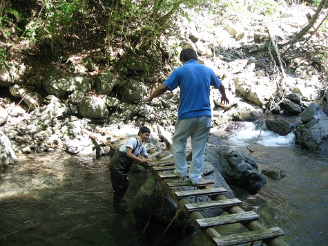 e0101917_15404440.jpg
