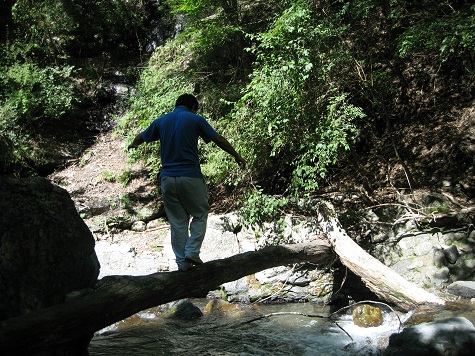 e0101917_15424710.jpg