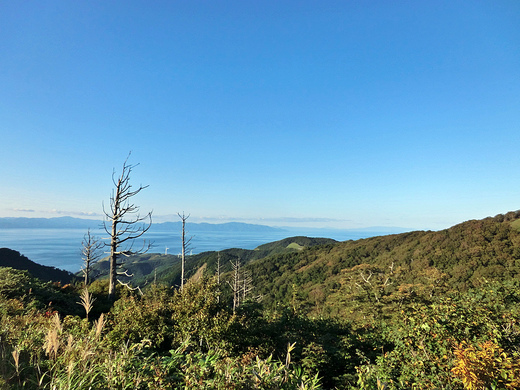 d0221319_6153945.jpg