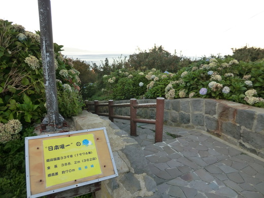 d0221319_6382837.jpg