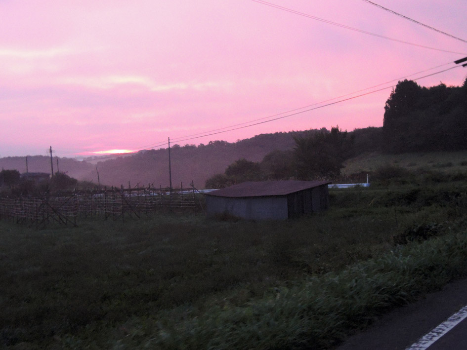 d0211129_15532873.jpg