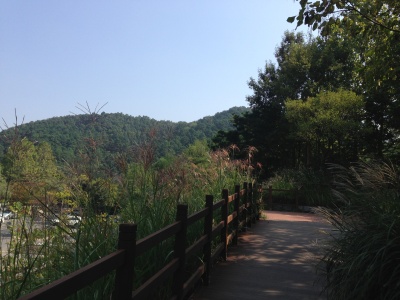 b0132630_21393114.jpg