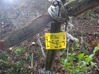 e0272335_20353257.jpg