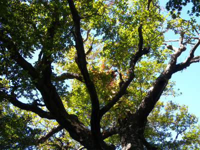 e0272335_2171054.jpg
