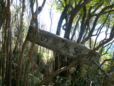 e0272335_2193121.jpg
