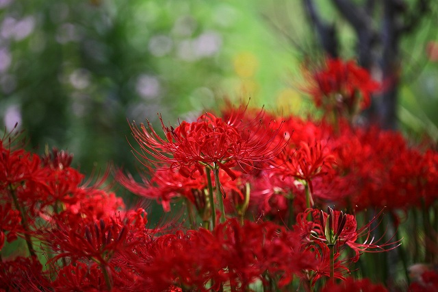a0242438_19271836.jpg