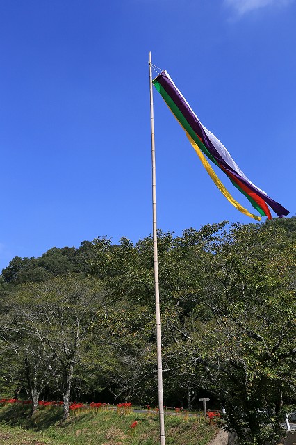 a0242438_22594276.jpg