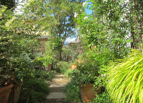 b0178339_22234557.jpg