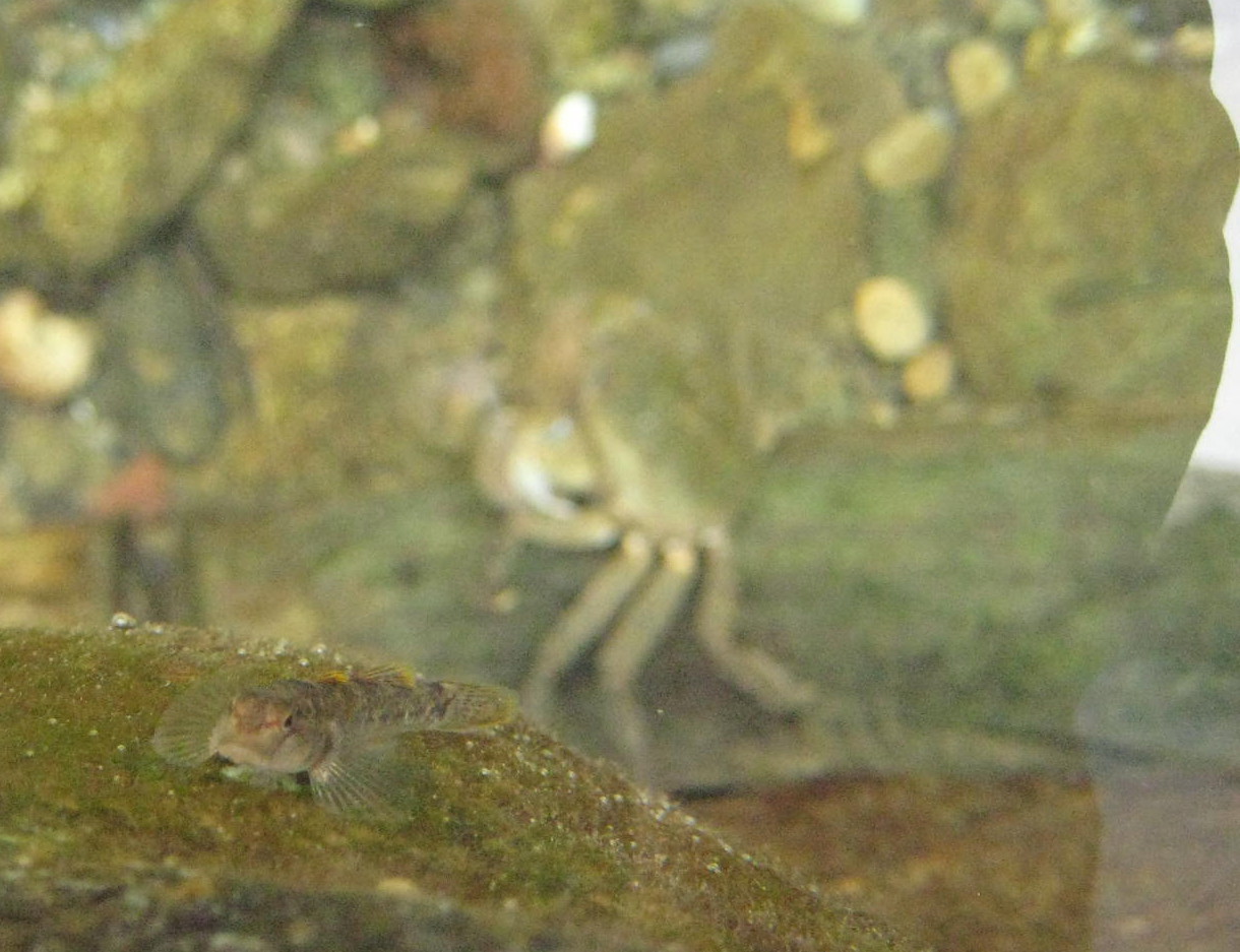 f0247039_1231512.jpg
