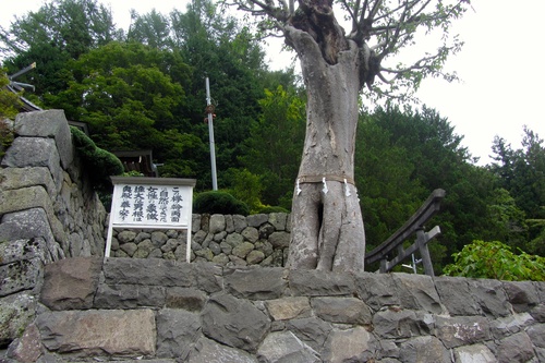 f0247440_15412632.jpg