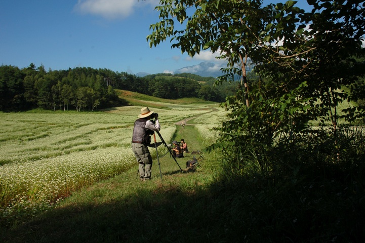 c0002943_17382197.jpg