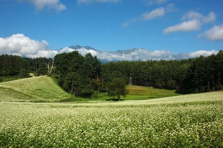 c0002943_17414952.jpg