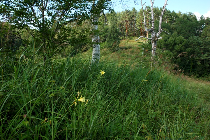 c0002943_17453688.jpg
