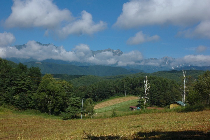 c0002943_17455489.jpg