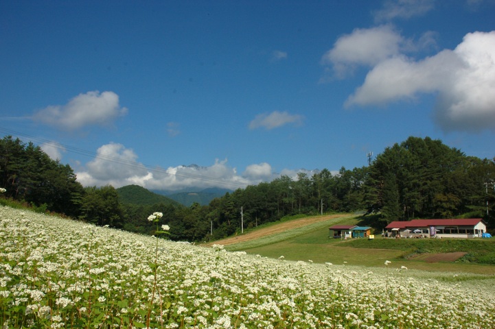 c0002943_17472158.jpg