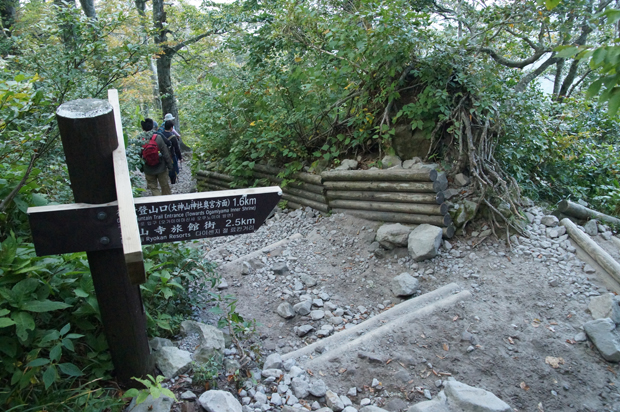 f0214649_11175235.jpg