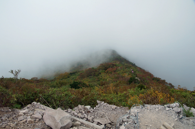 f0214649_1193083.jpg