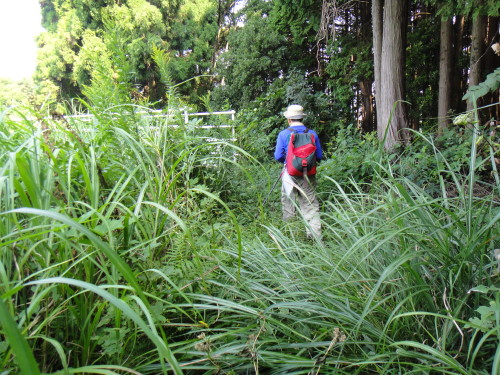 c0179351_18224045.jpg