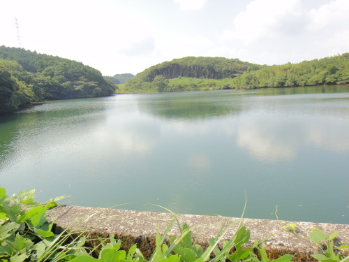 c0179351_1824990.jpg
